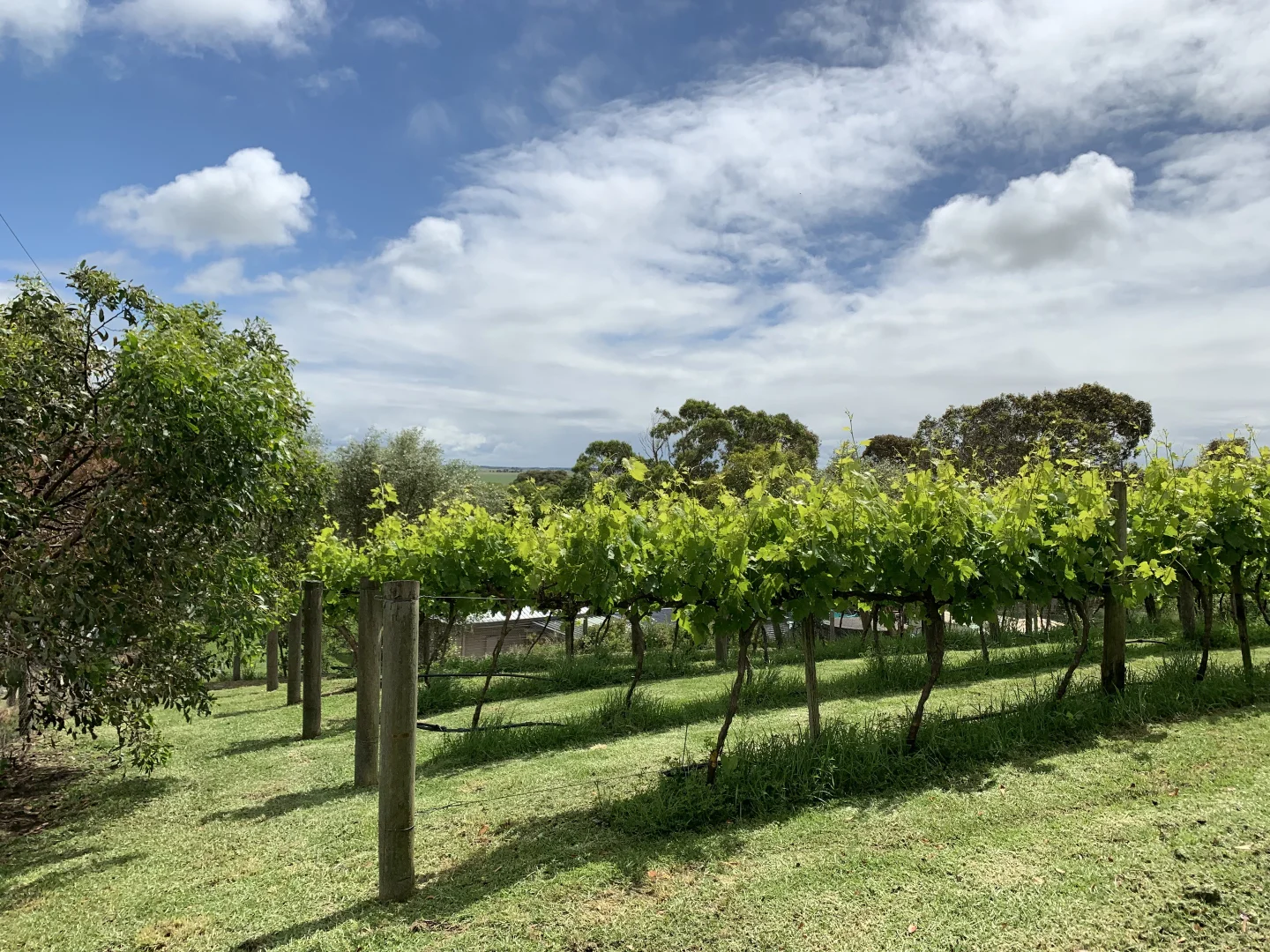 Additional image 3 of 4 Schinckel Street, Rendelsham SA 5280