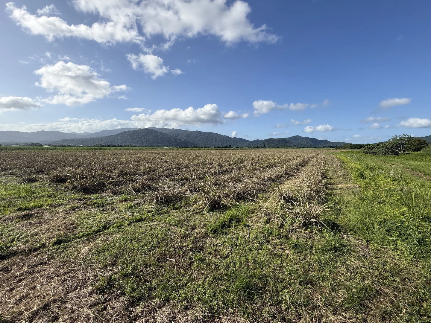 Additional image 18 of Midgenoo QLD 4854