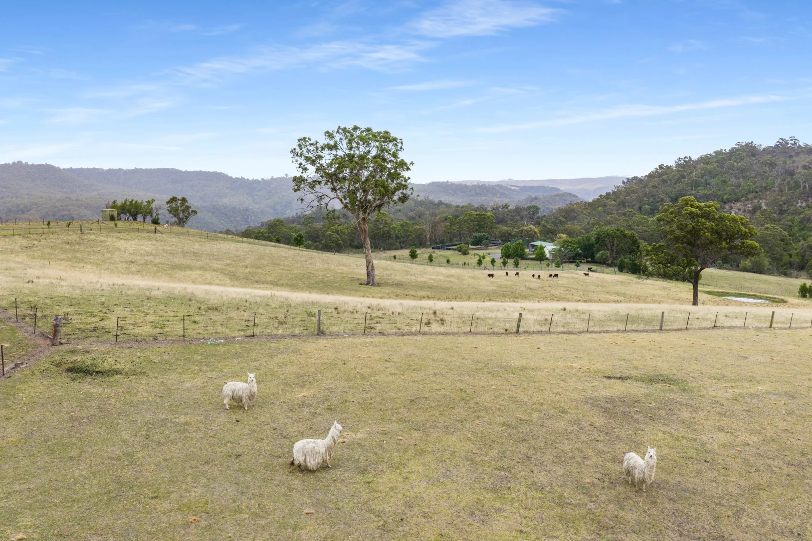 Additional image 22 of 185 Pulpit Rock Road, Bullio NSW 2575