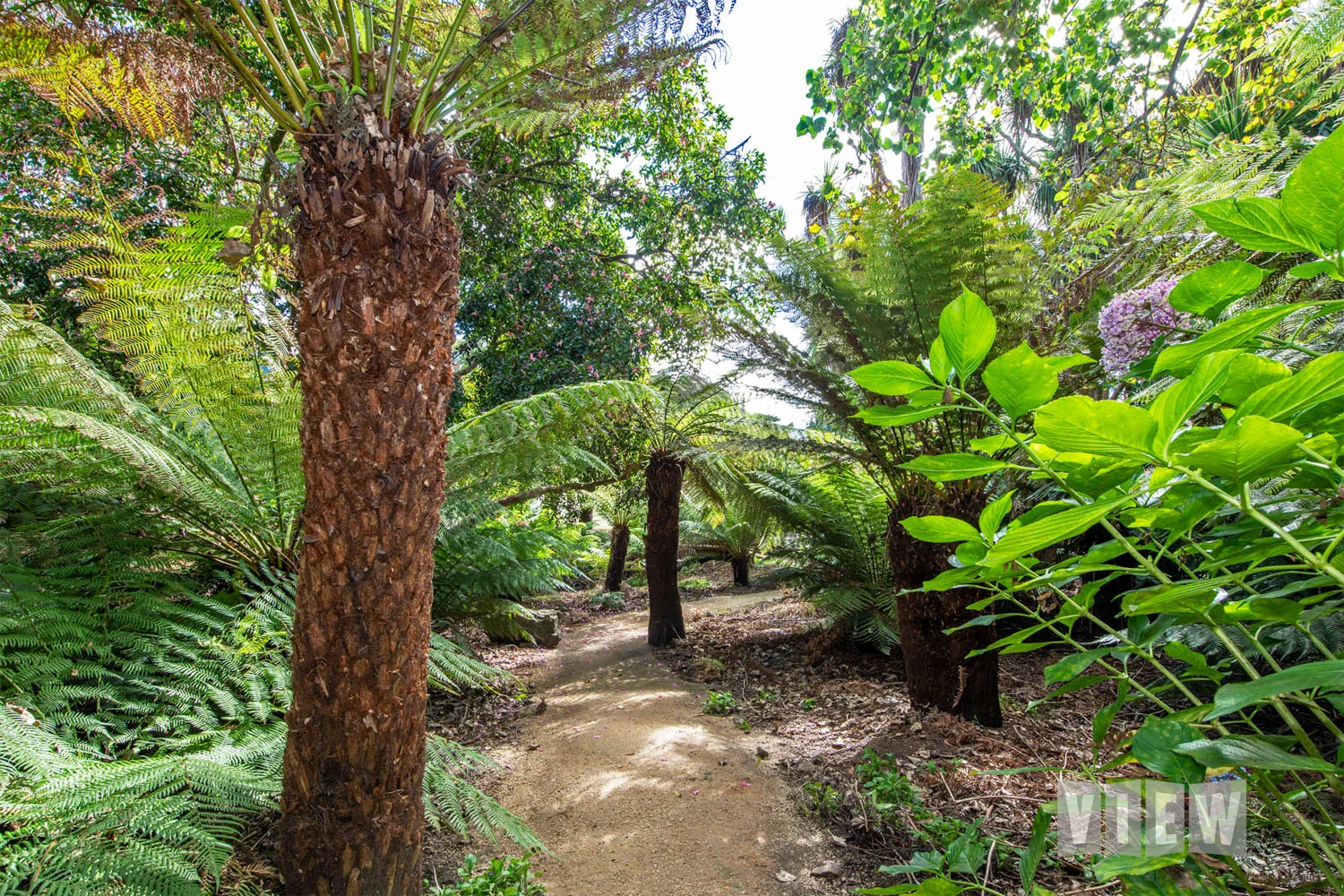 Additional image 31 of 317 Port Road, Boat Harbour Beach TAS 7321