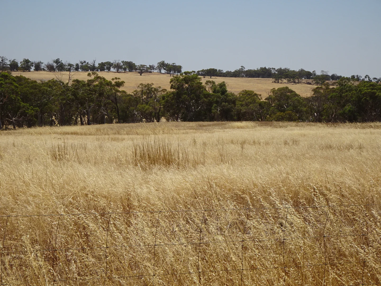 Additional image 22 of 160 Chittleborough Road, Brookton WA 6306