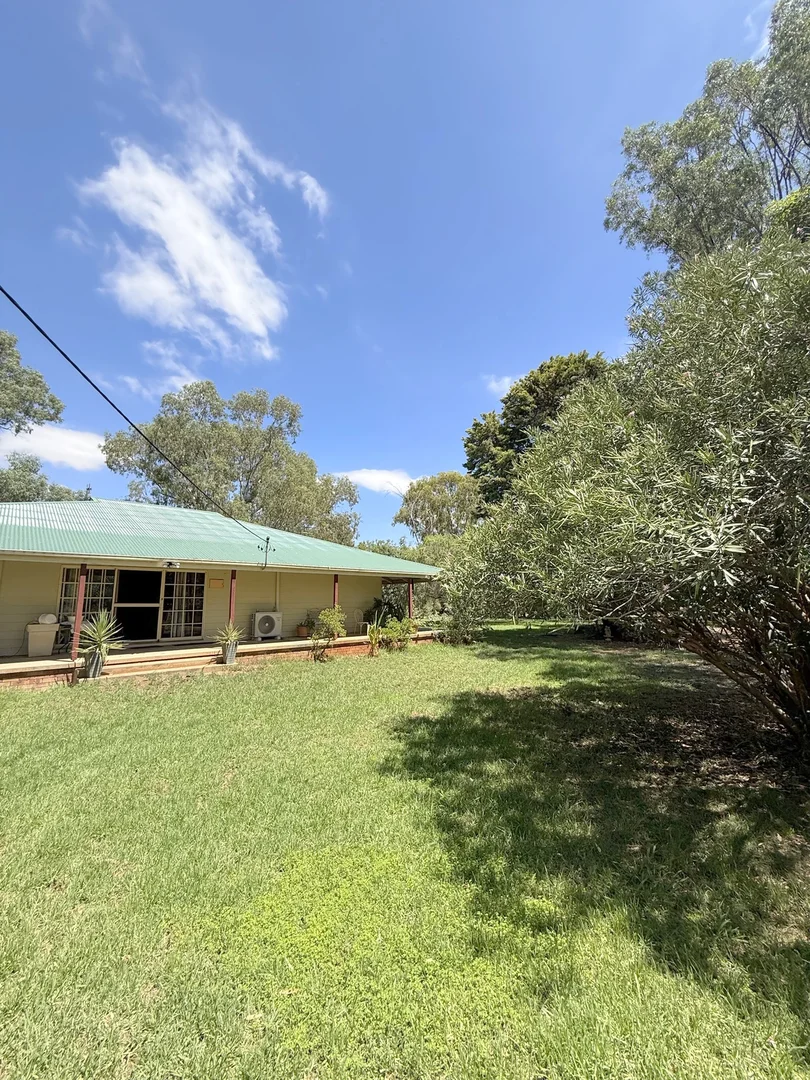 Additional image 68 of 506 North Forbes Rd, Condobolin NSW 2877