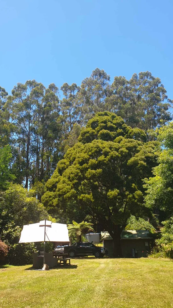 Additional image 5 of 175 Denhams Road, Hallston VIC 3953