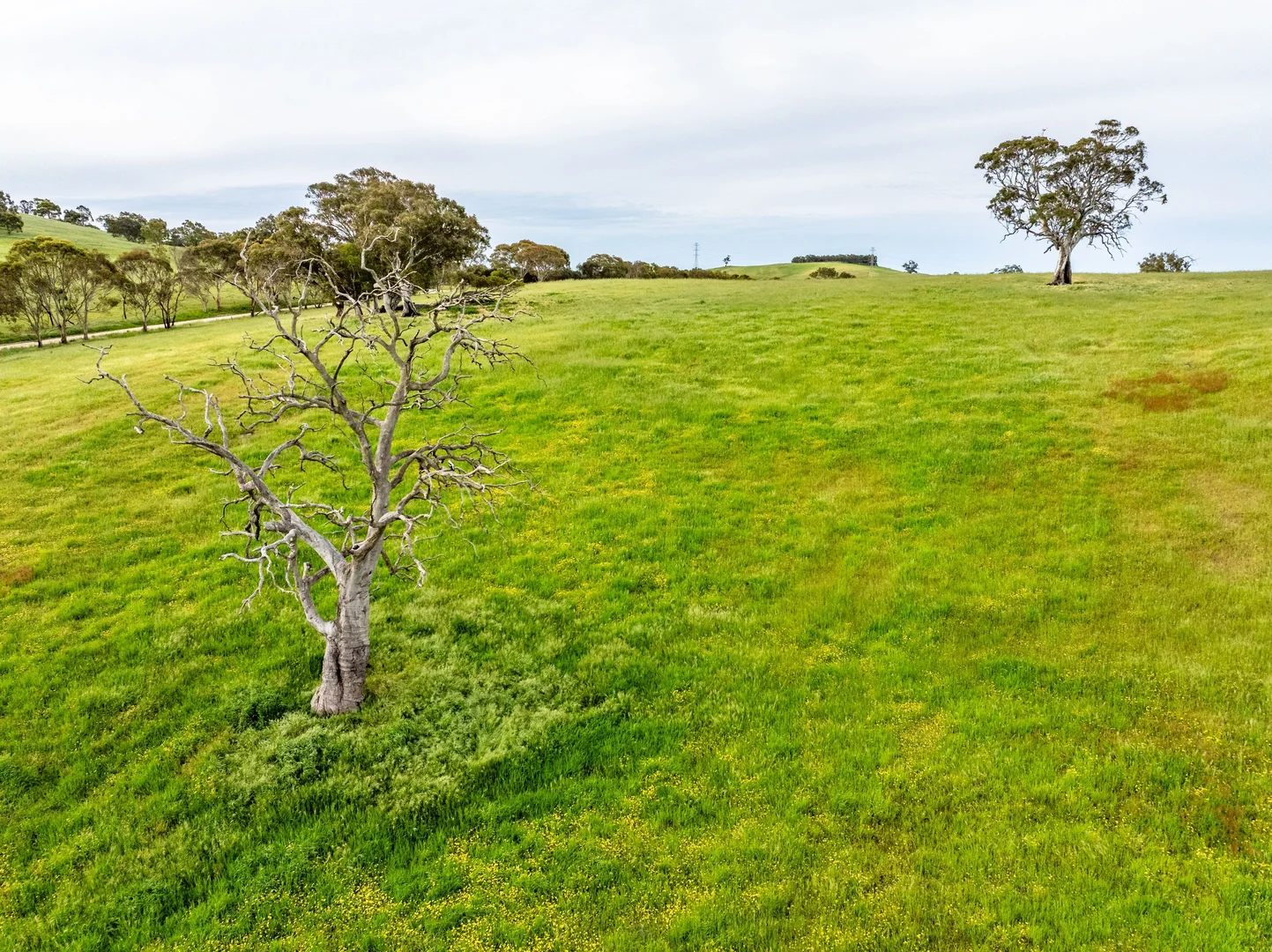 Additional image 19 of 312 Collins Road, Tungkillo SA 5236