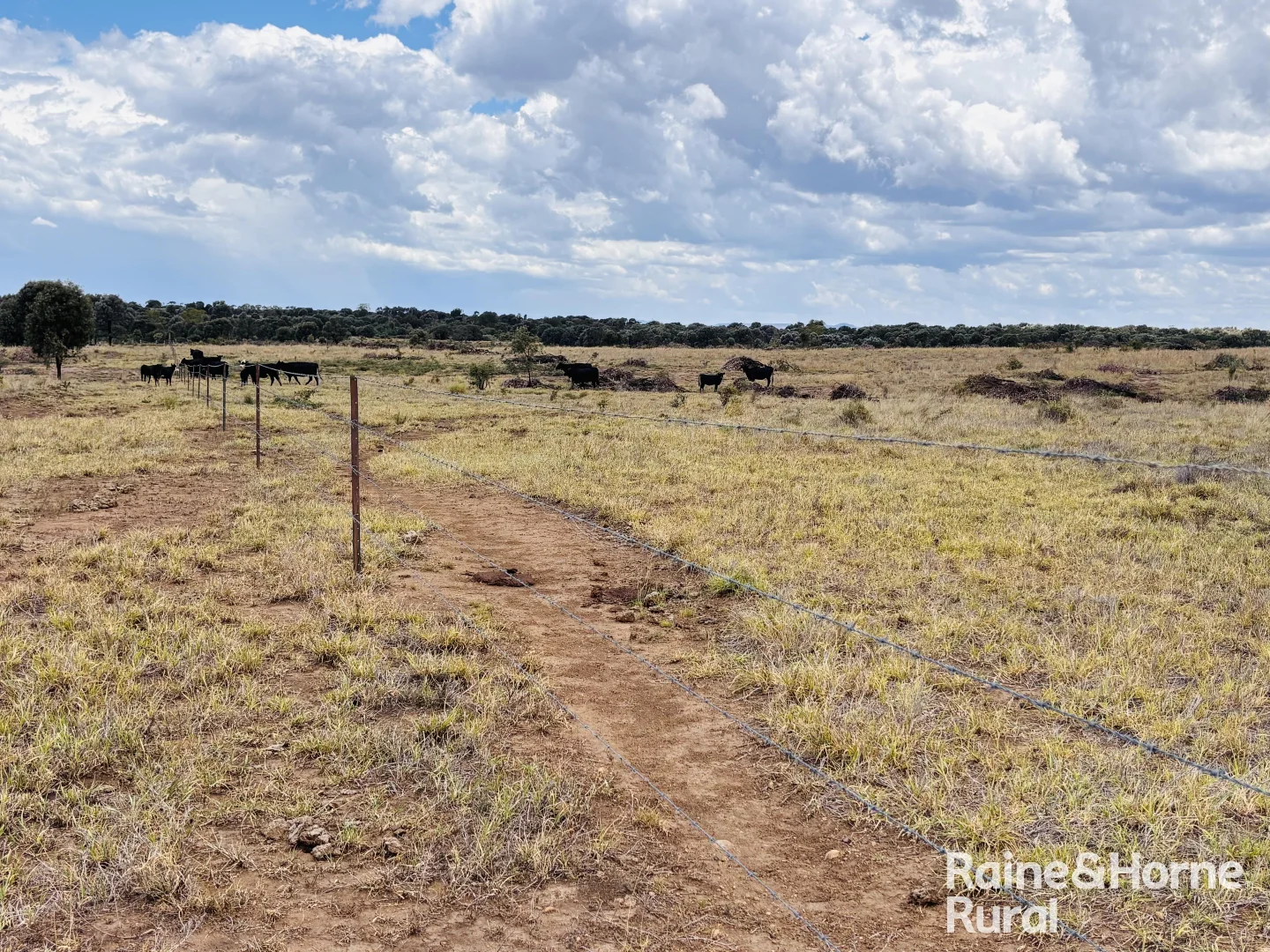 Additional image 9 of 330 Burrow Downs Road, Injune QLD 4454