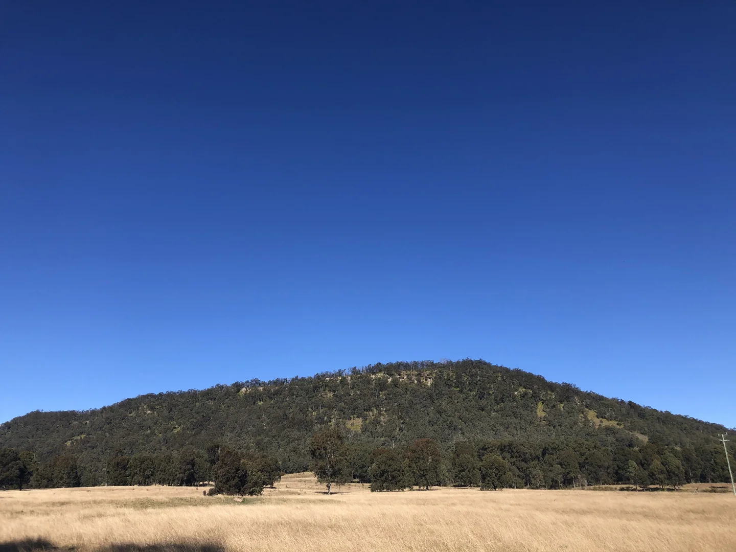 Additional image 9 of 1447 Gresford Road, Vacy NSW 2421