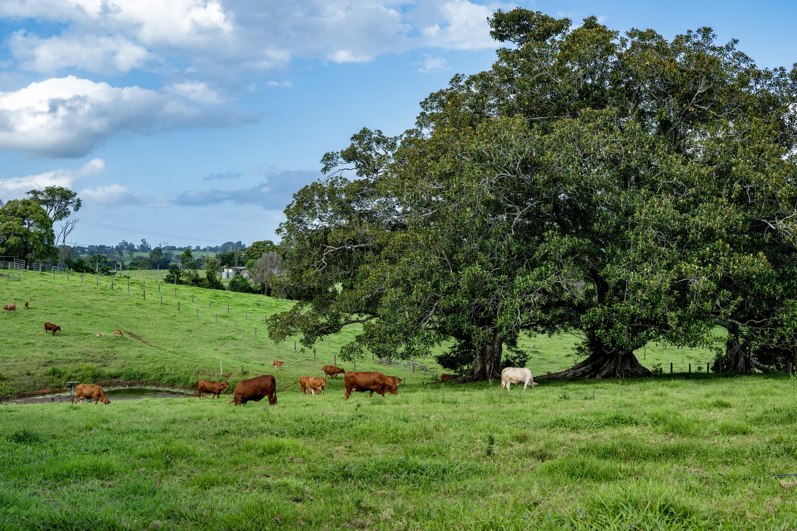 Additional image 6 of 491 Maleny-Stanley River Road, Wootha QLD 4552