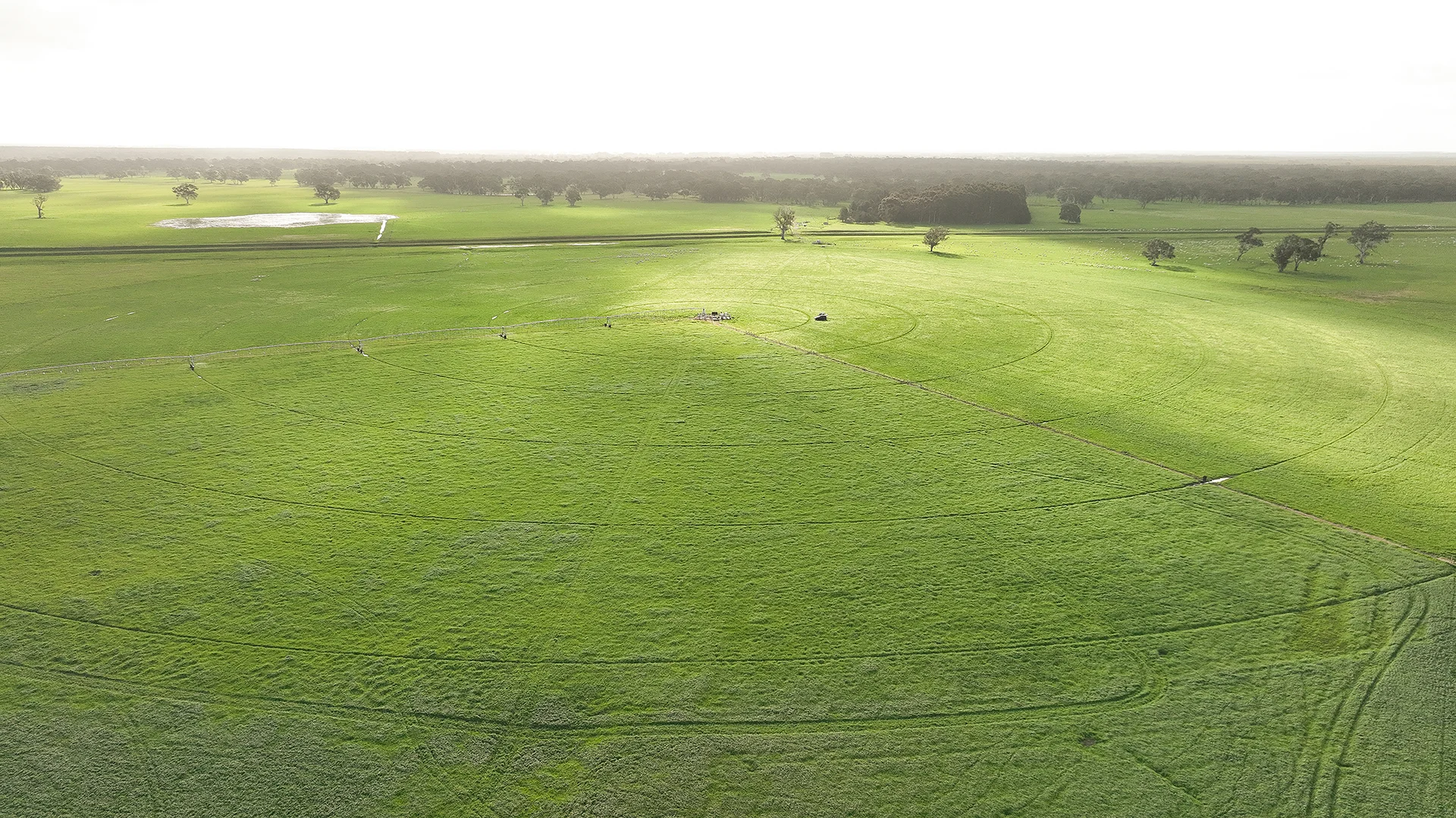 Additional image 12 of 546 Bool Lagoon West Road, Penola SA 5277