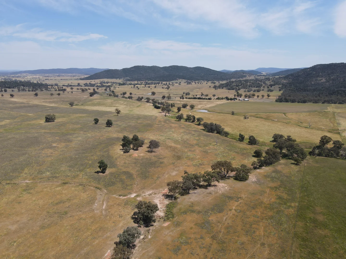 Additional image 8 of "Babynda" 829 Eulimore Road, Eugowra NSW 2806