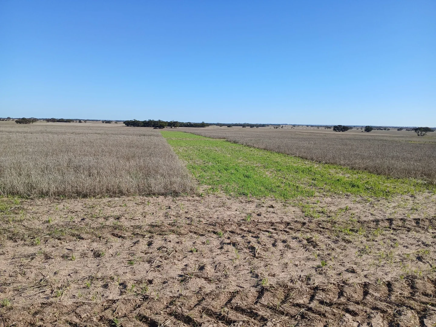 Additional image 11 of 1100 Propodollah Road, Nhill VIC 3418