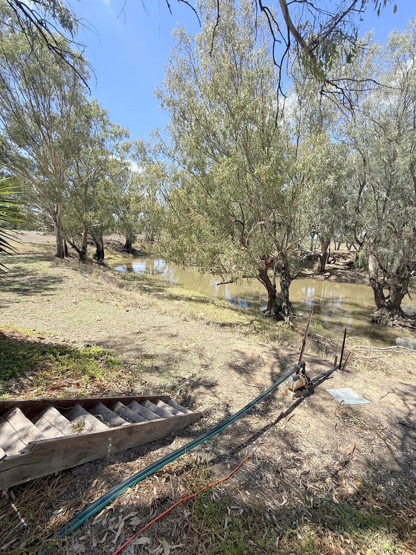 Additional image 63 of 506 North Forbes Rd, Condobolin NSW 2877