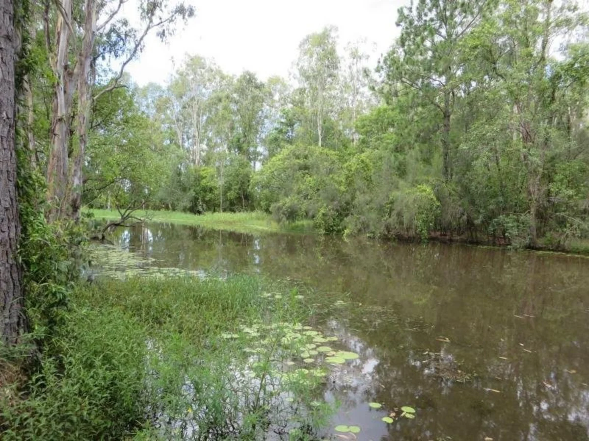 Additional image 30 of 750 Sugar Bag Rd ( West ), Drake NSW 2469