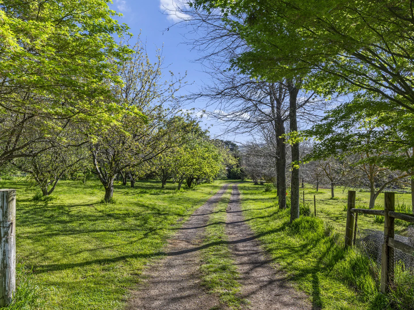 Additional image 10 of 2122 Euroa-Strathbogie Road, Strathbogie VIC 3666