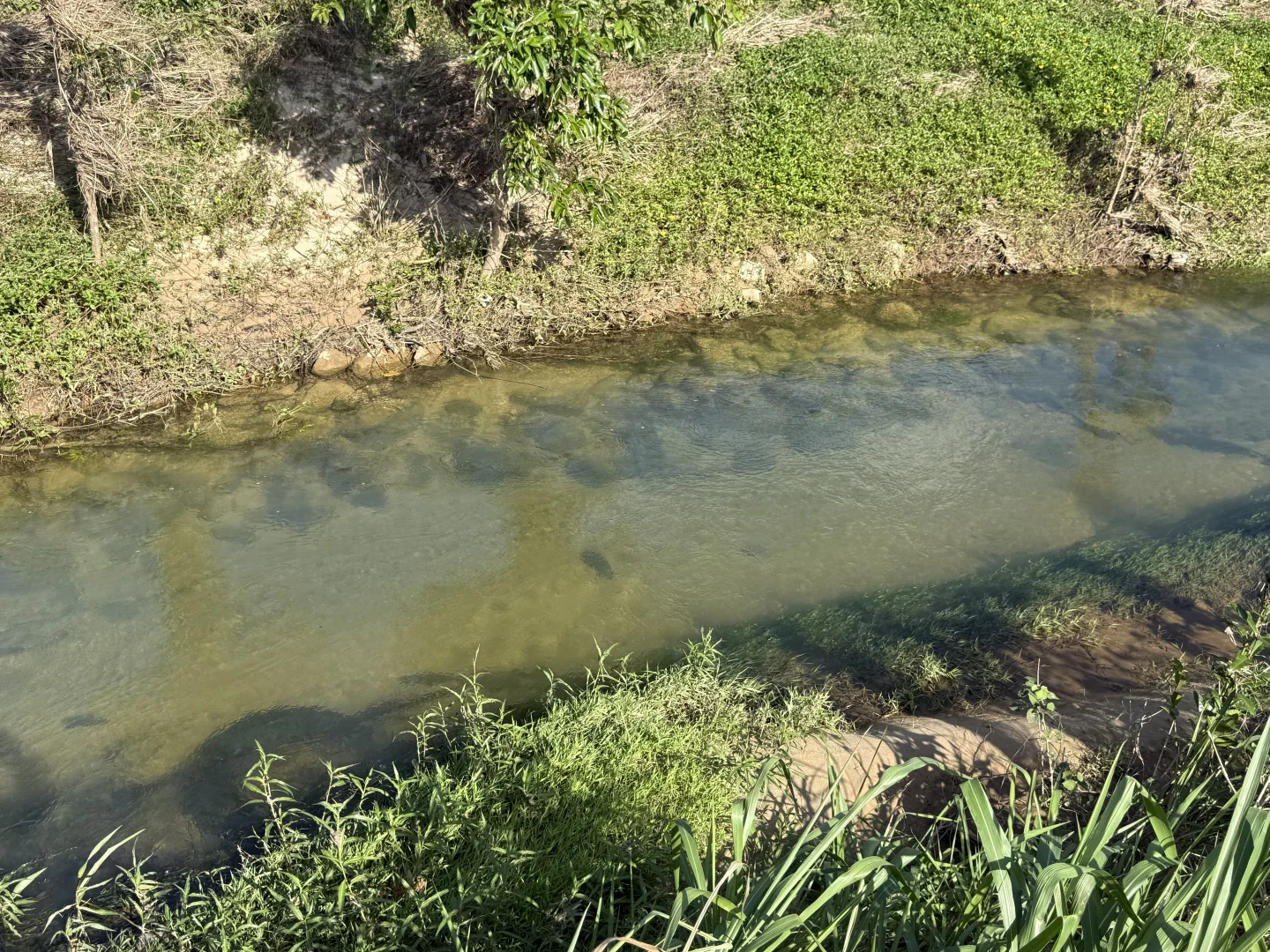 Additional image 13 of Midgenoo QLD 4854