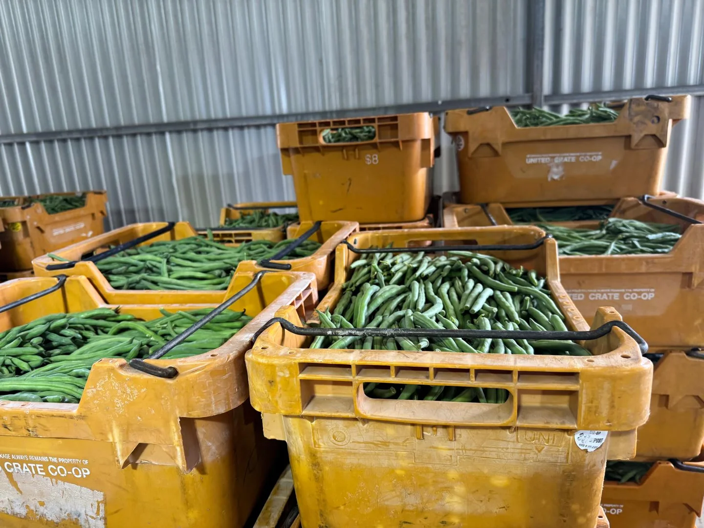 Additional image 32 of 317 Rangeview Drive, Wanerie WA 6503