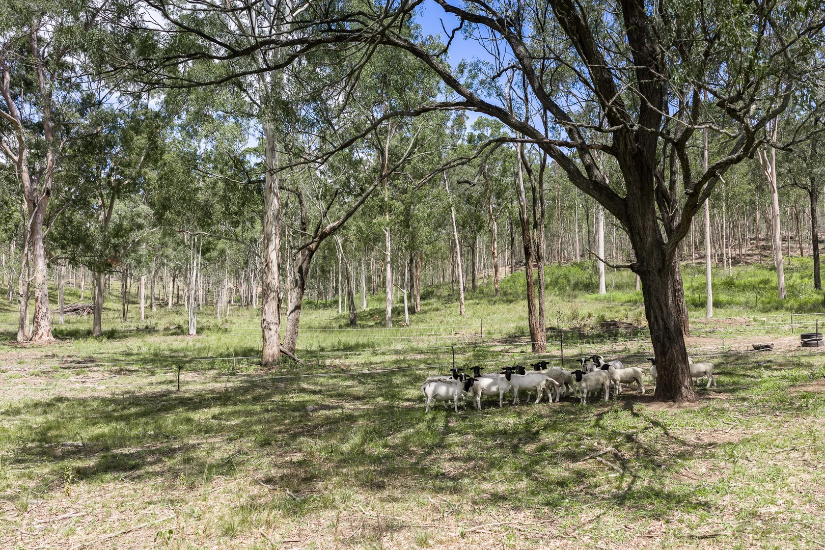 Additional image 18 of 1417 Murphys Creek Road, Murphys Creek QLD 4352