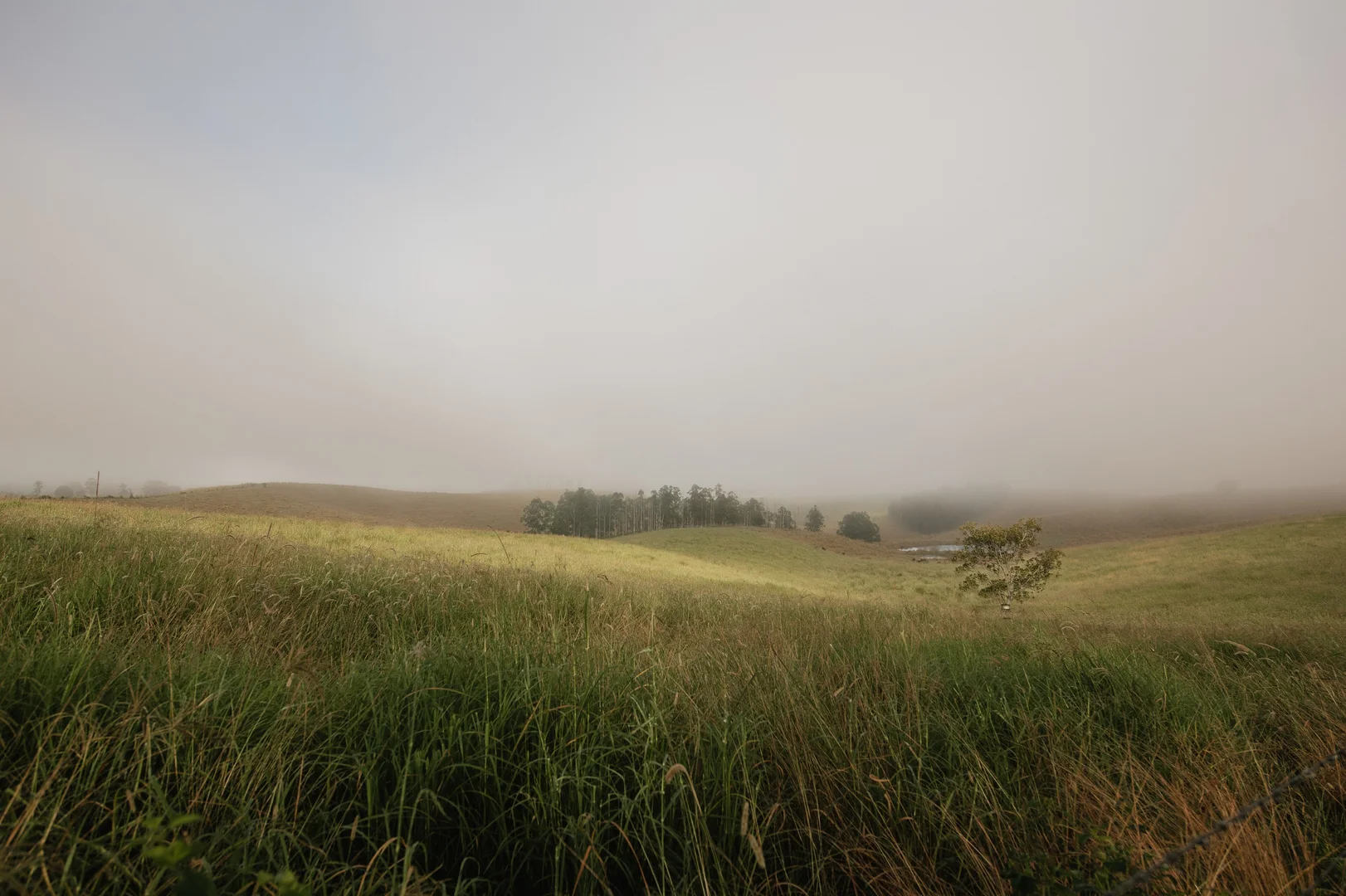 Additional image 5 of Lynches Creek Road, Wiangaree NSW 2474