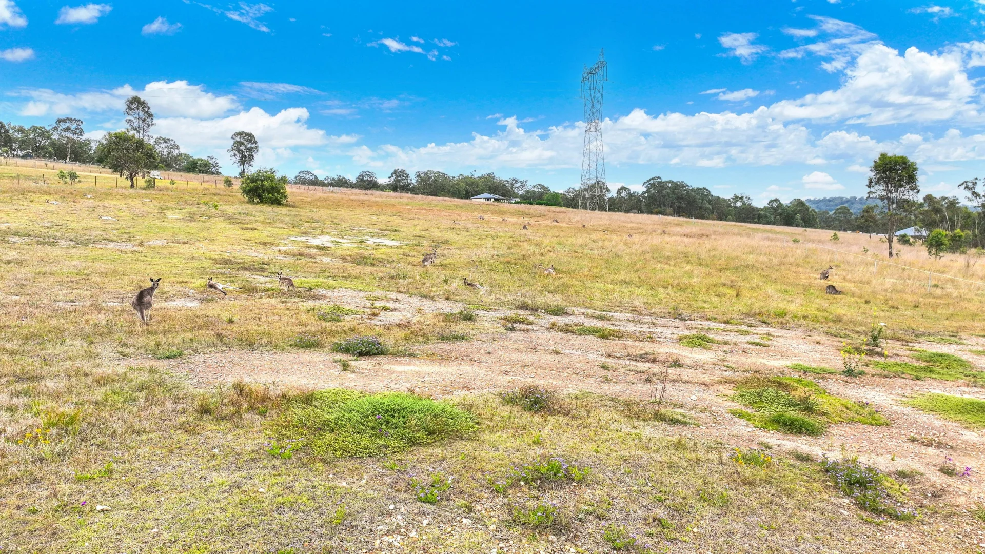 Additional image 27 of 5 Stage Woodland Ridge, Muswellbrook NSW 2333