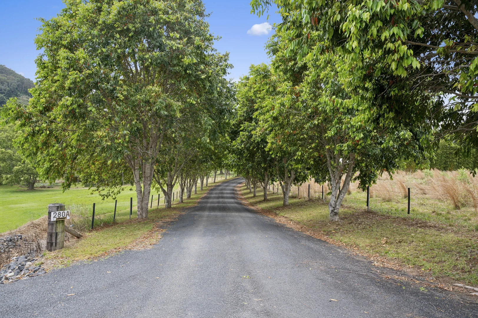 Additional image 16 of 280A Upper Orara Road, Karangi NSW 2450