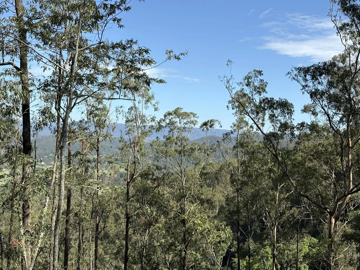 Additional image 18 of 211, 212 Robinson Road, Marlee NSW 2429