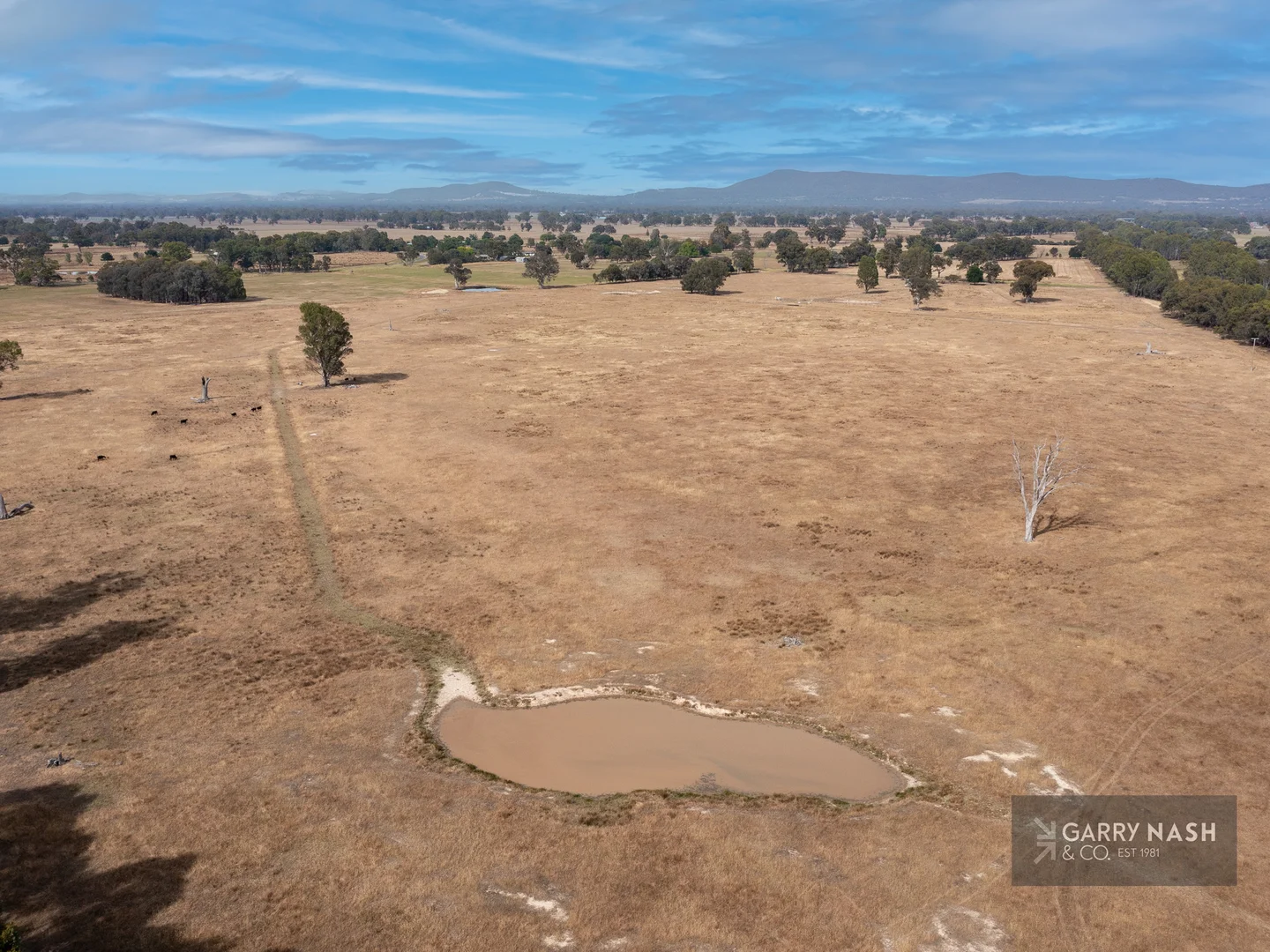 Additional image 7 of 137 Laceby-Targoora Road, Wangaratta VIC 3677