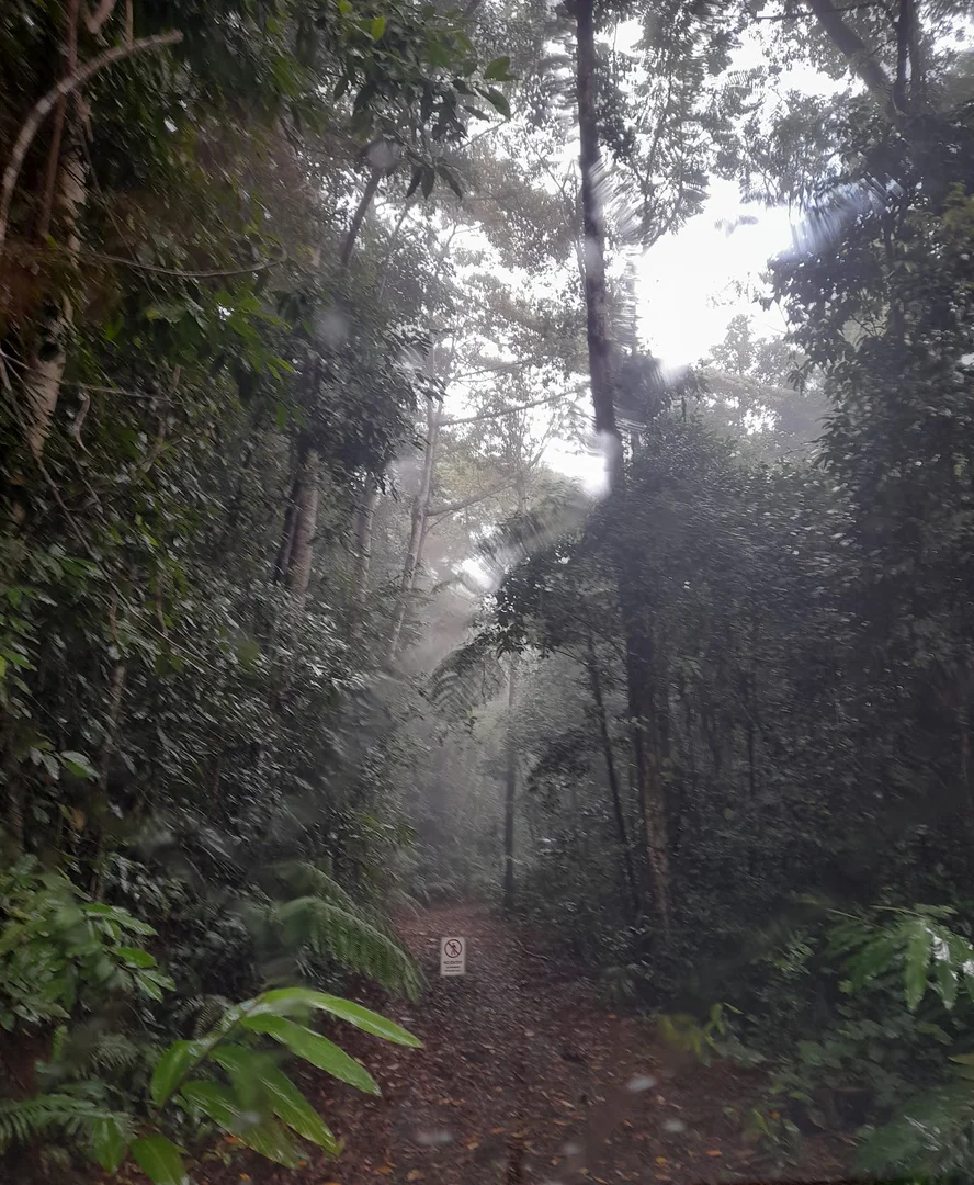 Additional image 3 of Lot 213 Kelly Road, Ellinjaa QLD 4886