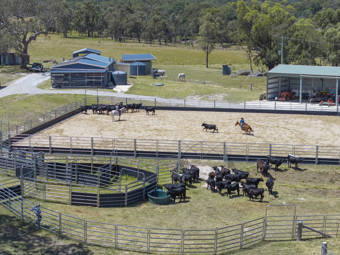 Additional image 6 of 1166 New England Highway, Tenterfield NSW 2372