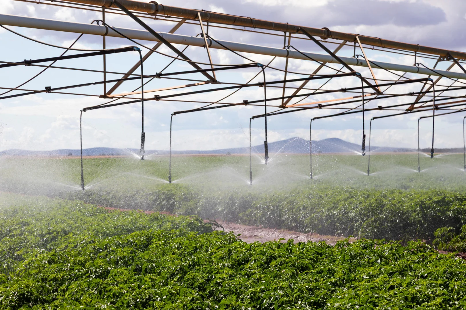 Additional image 9 of 12766 Kidman Way, Hillston NSW 2675