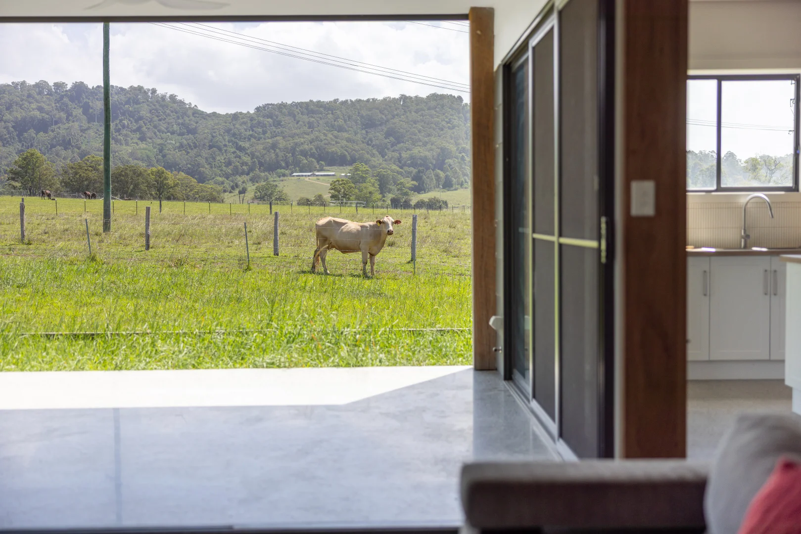 Additional image 7 of 529 Willina Road, Willina NSW 2423