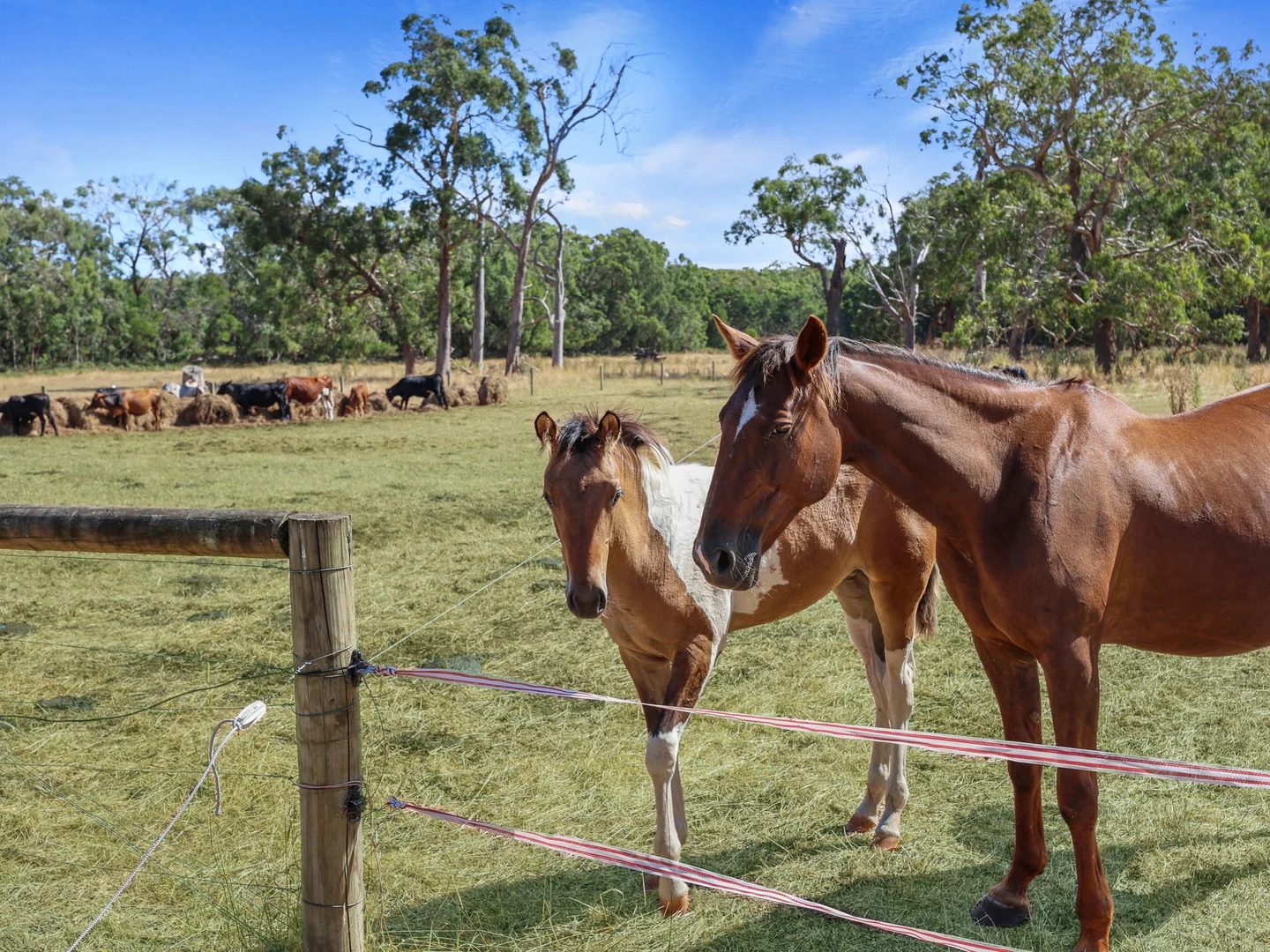 Additional image 16 of 311 Lindons Road, Drumborg VIC 3304