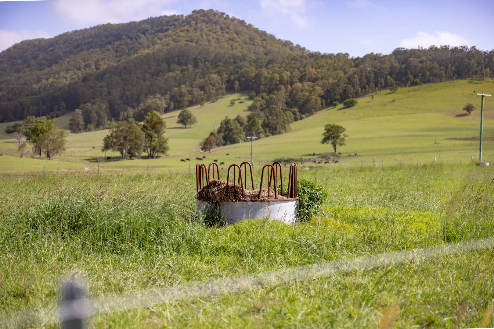 Additional image 26 of 529 Willina Road, Willina NSW 2423