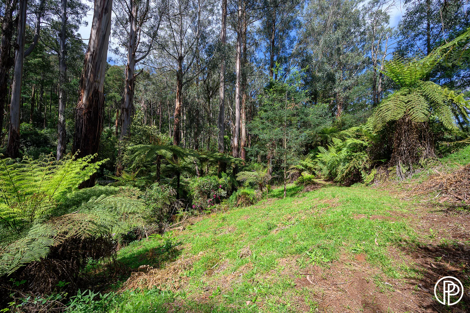 Additional image 12 of 330 Prices Road, Gladysdale VIC 3797