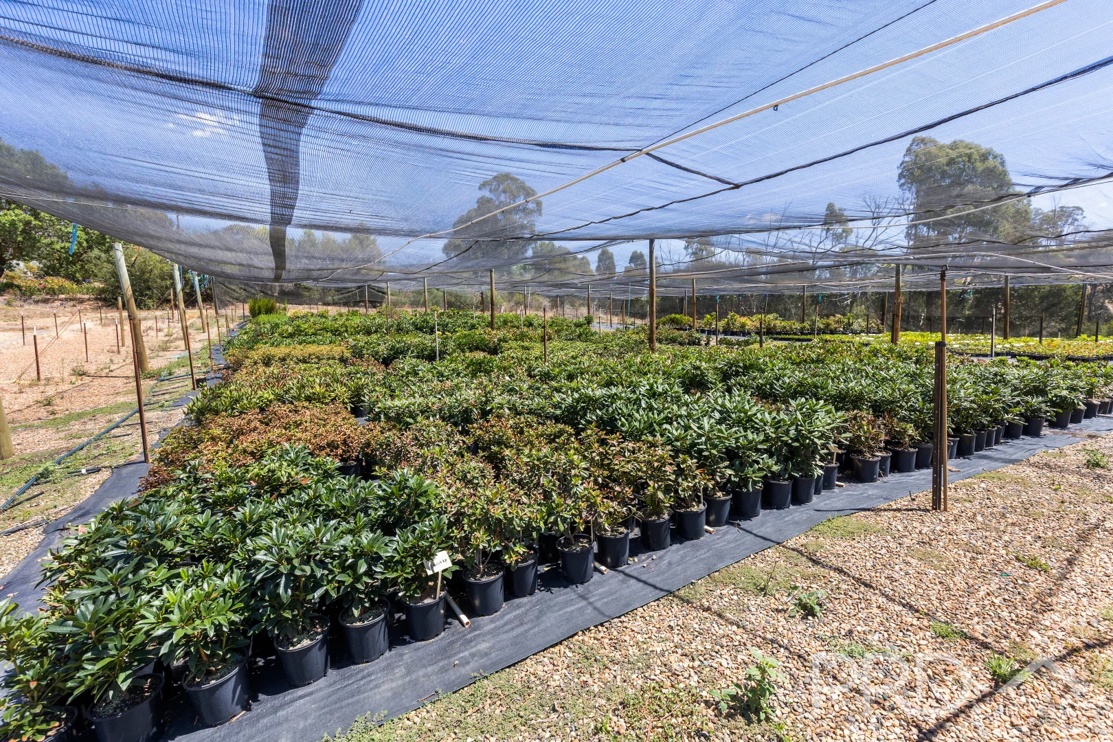 Additional image 26 of 56 Mines Road, Batlow NSW 2730