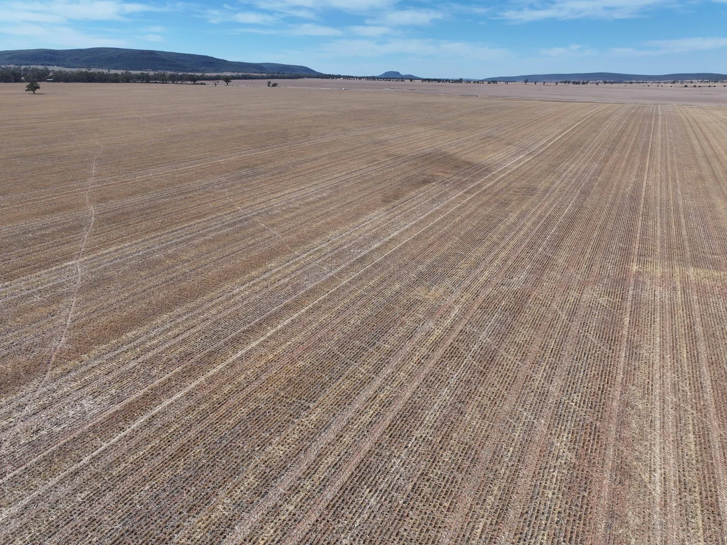 Additional image 15 of 'Nolens'  5000 Barellan Road, Colinroobie NSW 2700