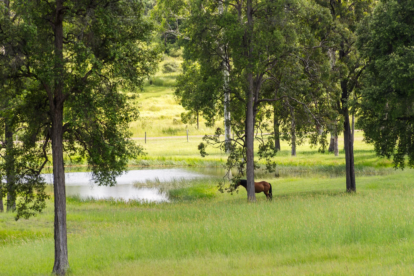 Additional image 21 of 240 Keefton Road, Woondum QLD 4570