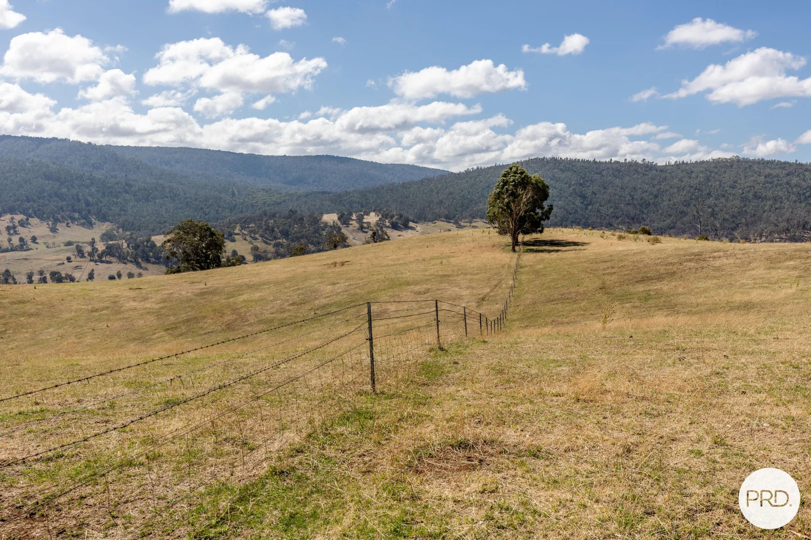 Additional image 7 of 1100 Batlow Road, Tumbarumba NSW 2653
