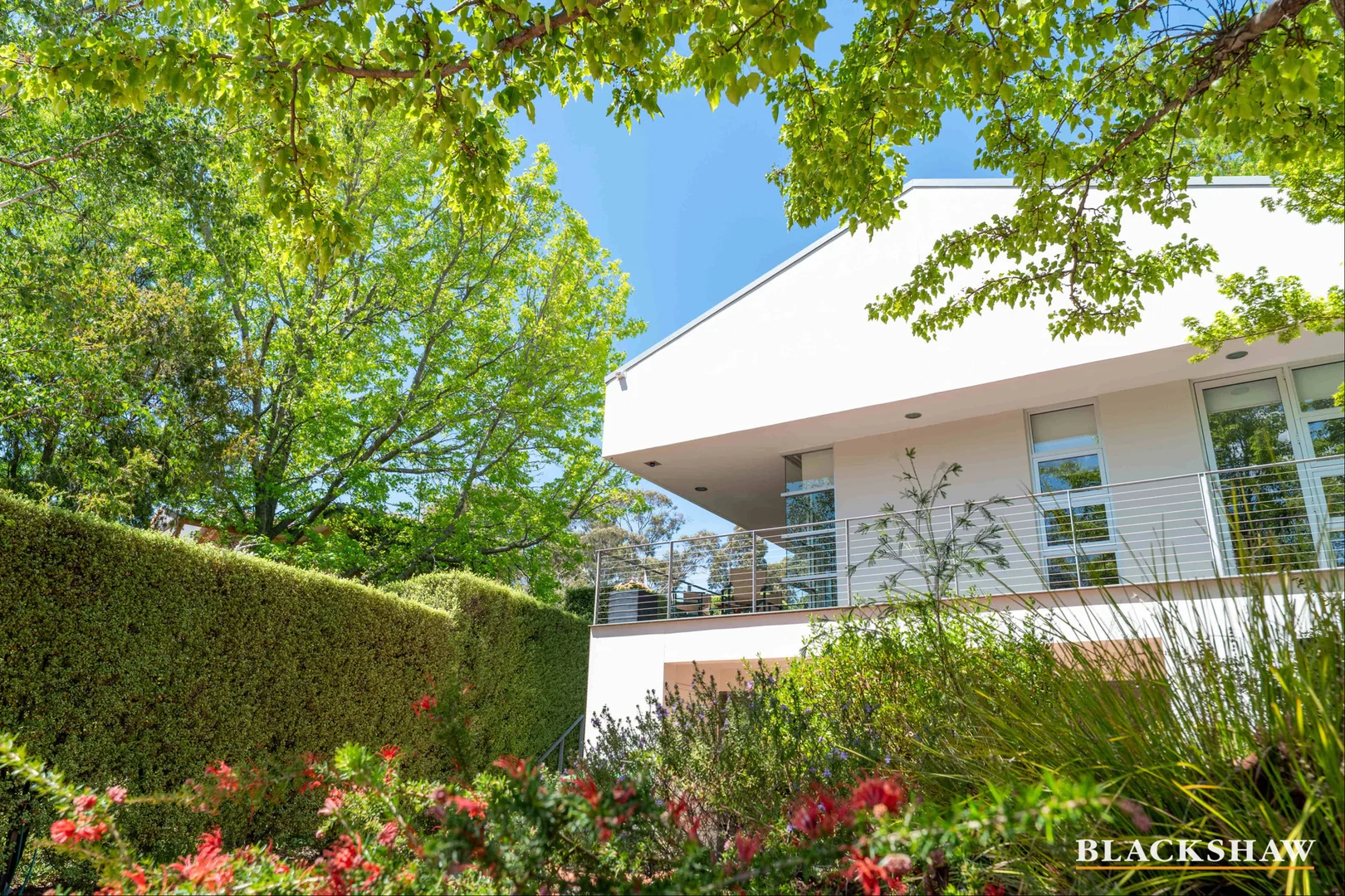 Additional image 3 of 9 Johnston Street, Narrabundah ACT 2604