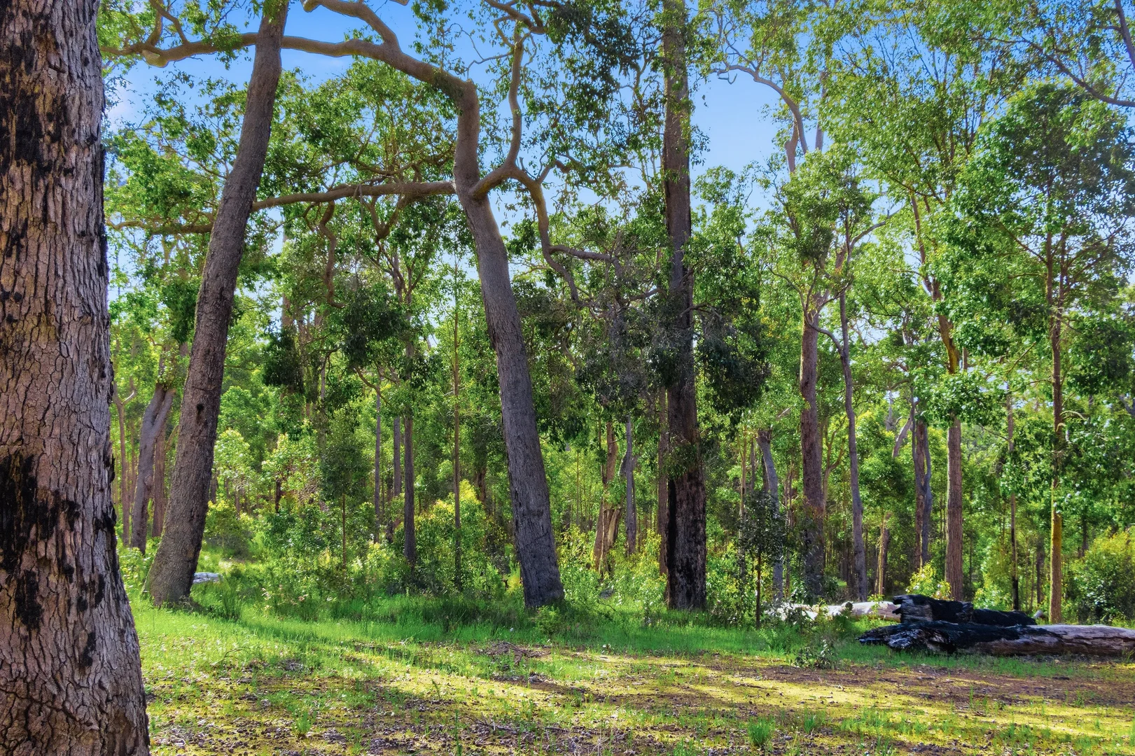 Additional image 15 of 7953 Brockman Highway, Nannup WA 6275