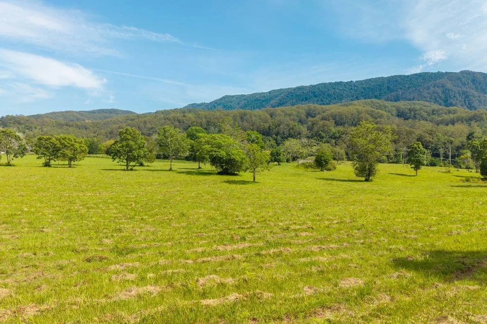 Additional image 5 of 870 Darkwood Road, Thora NSW 2454