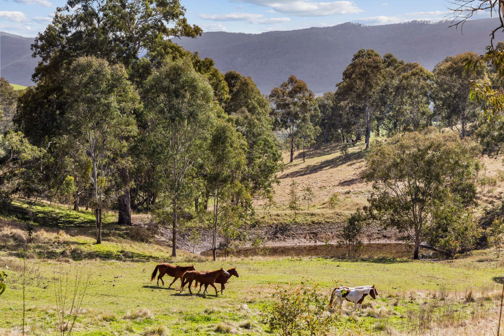 Additional image 21 of 322 Neringla Road, Braidwood NSW 2622