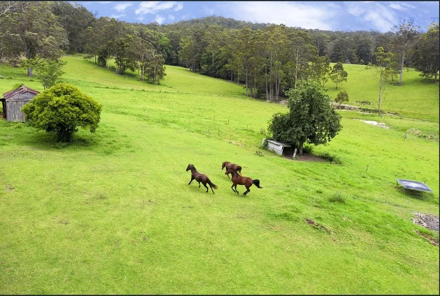 Additional image 10 of 50 Elliots Rd, Tamban NSW 2441