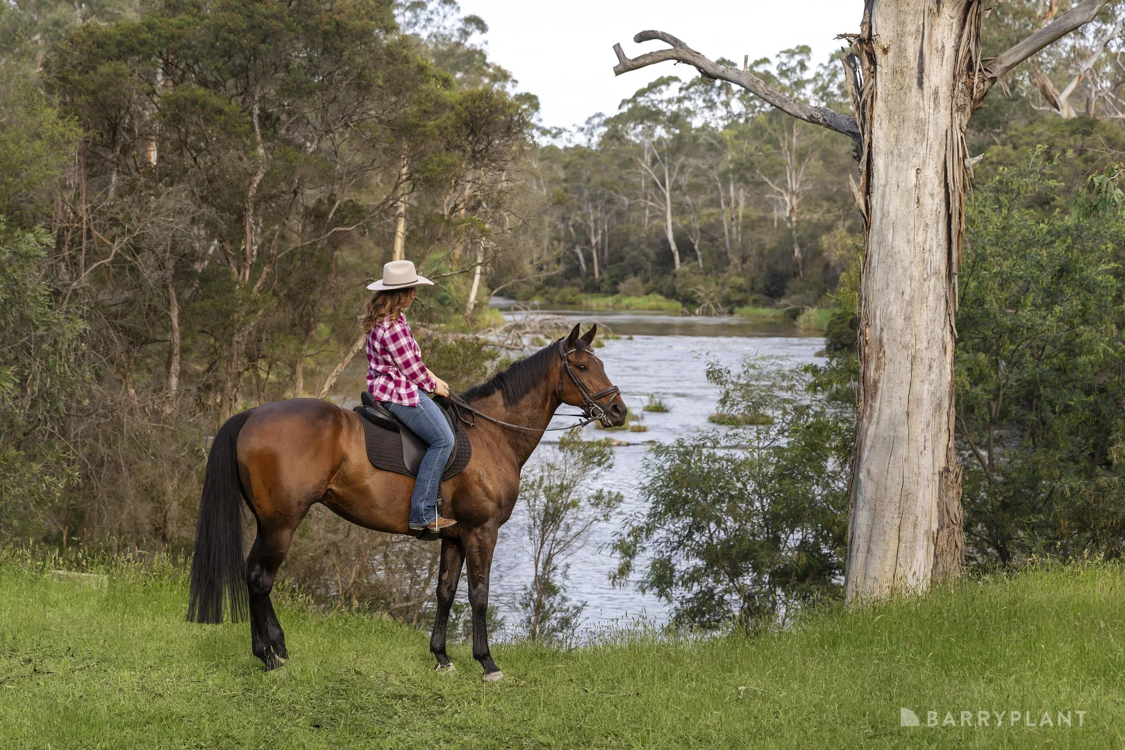 Additional image 14 of 80 Bourchiers Road, Kangaroo Ground VIC 3097