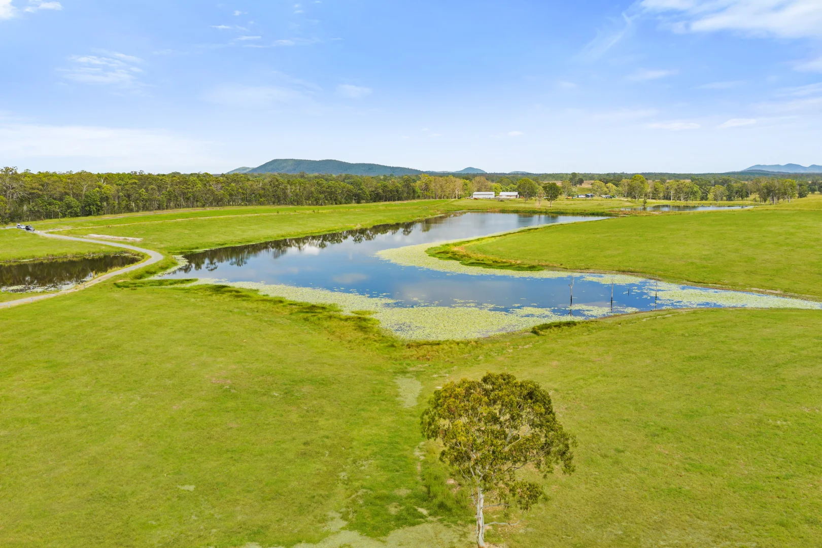 Additional image 6 of 1600 Anderleigh Road, Anderleigh QLD 4570