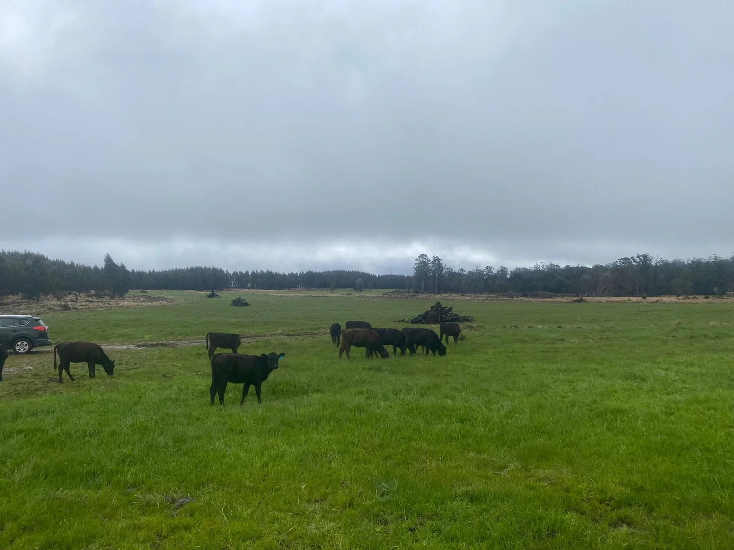 Additional image 21 of 560 Gads Hill Road, Mersey Forest TAS 7304