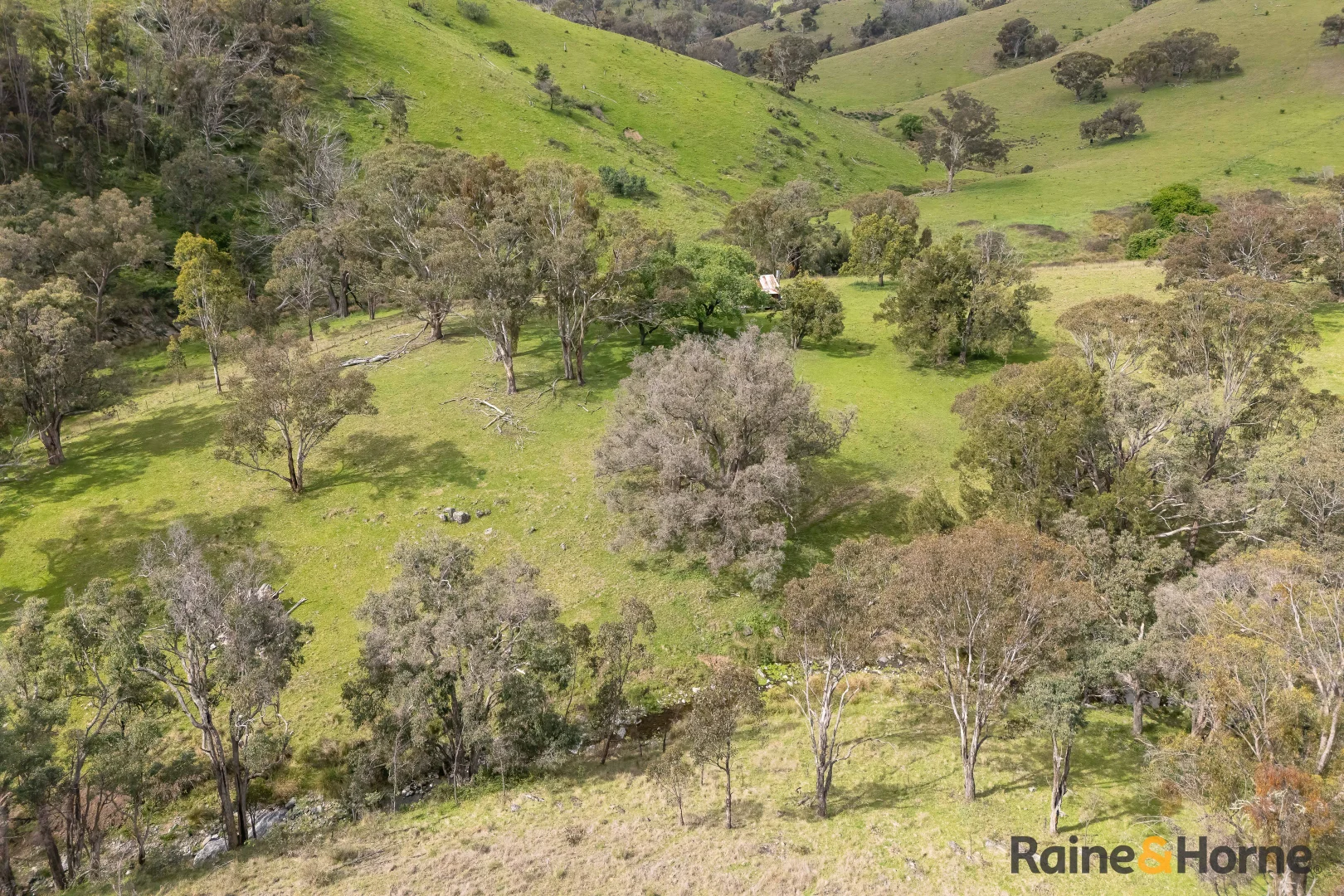 Additional image 8 of Lot 3/2553 Campfire Road, Walcha NSW 2354