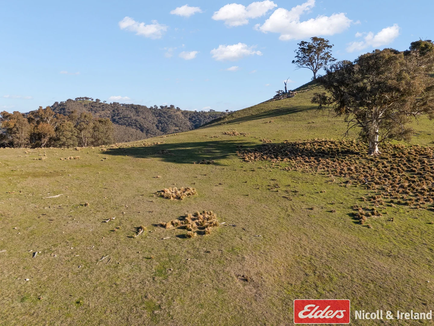 Additional image 13 of 6843 Goulburn Road, Abercrombie River NSW 2795