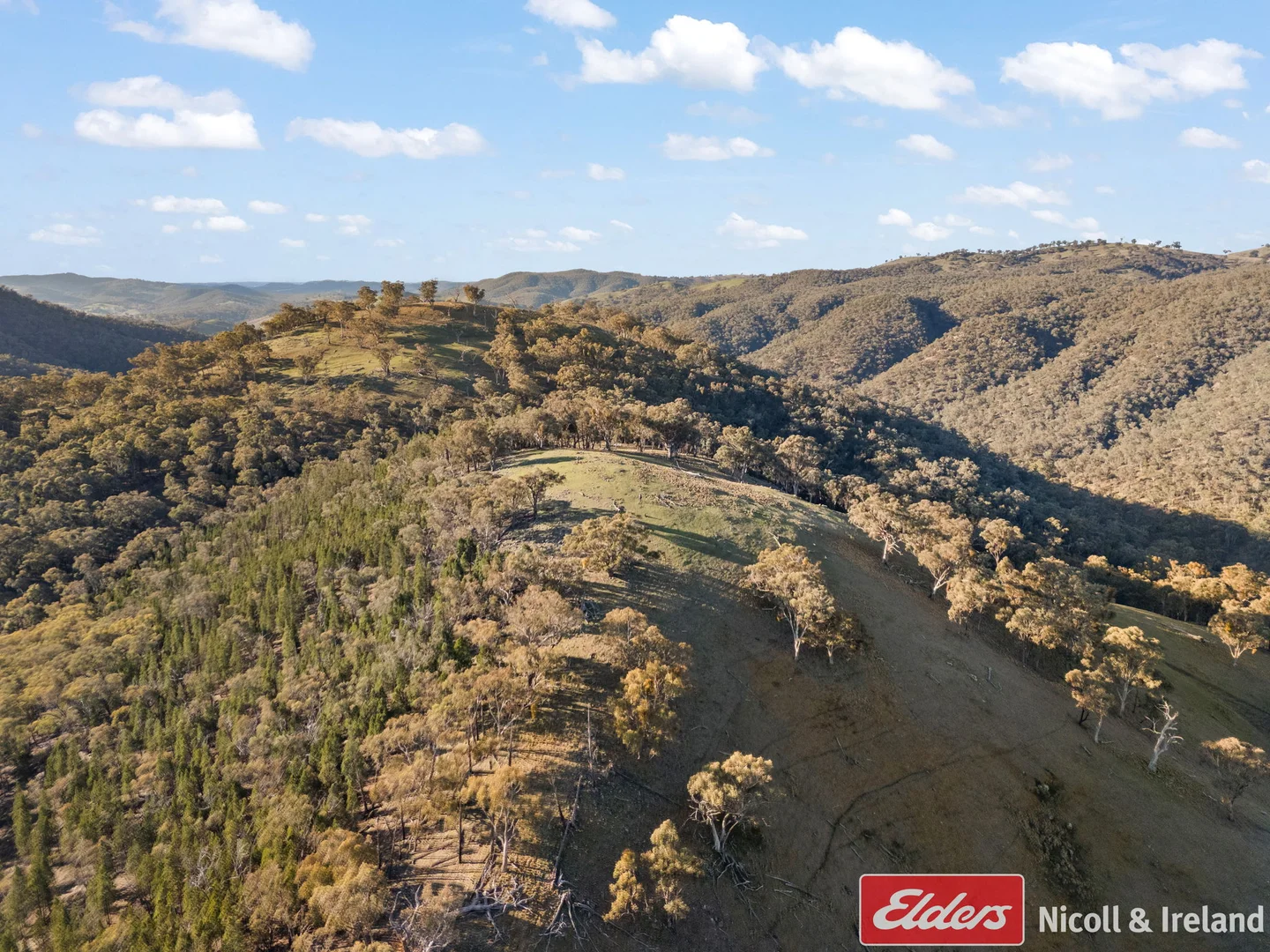 Additional image 18 of 6843 Goulburn Road, Abercrombie River NSW 2795