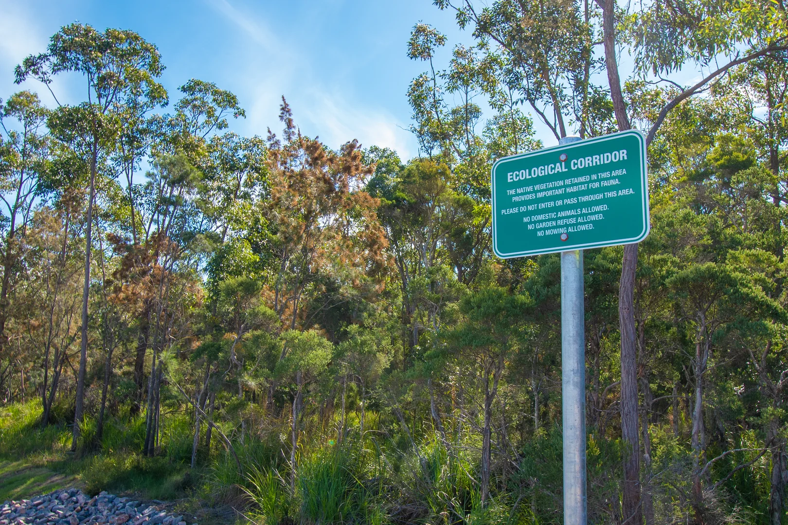 Additional image 5 of 23 Skye Street, Morisset NSW 2264