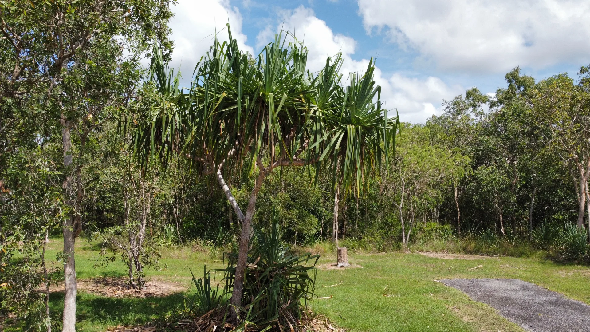 Additional image 16 of Lot 30 Conder Pde ( Bangaru ), Laguna Quays QLD 4800