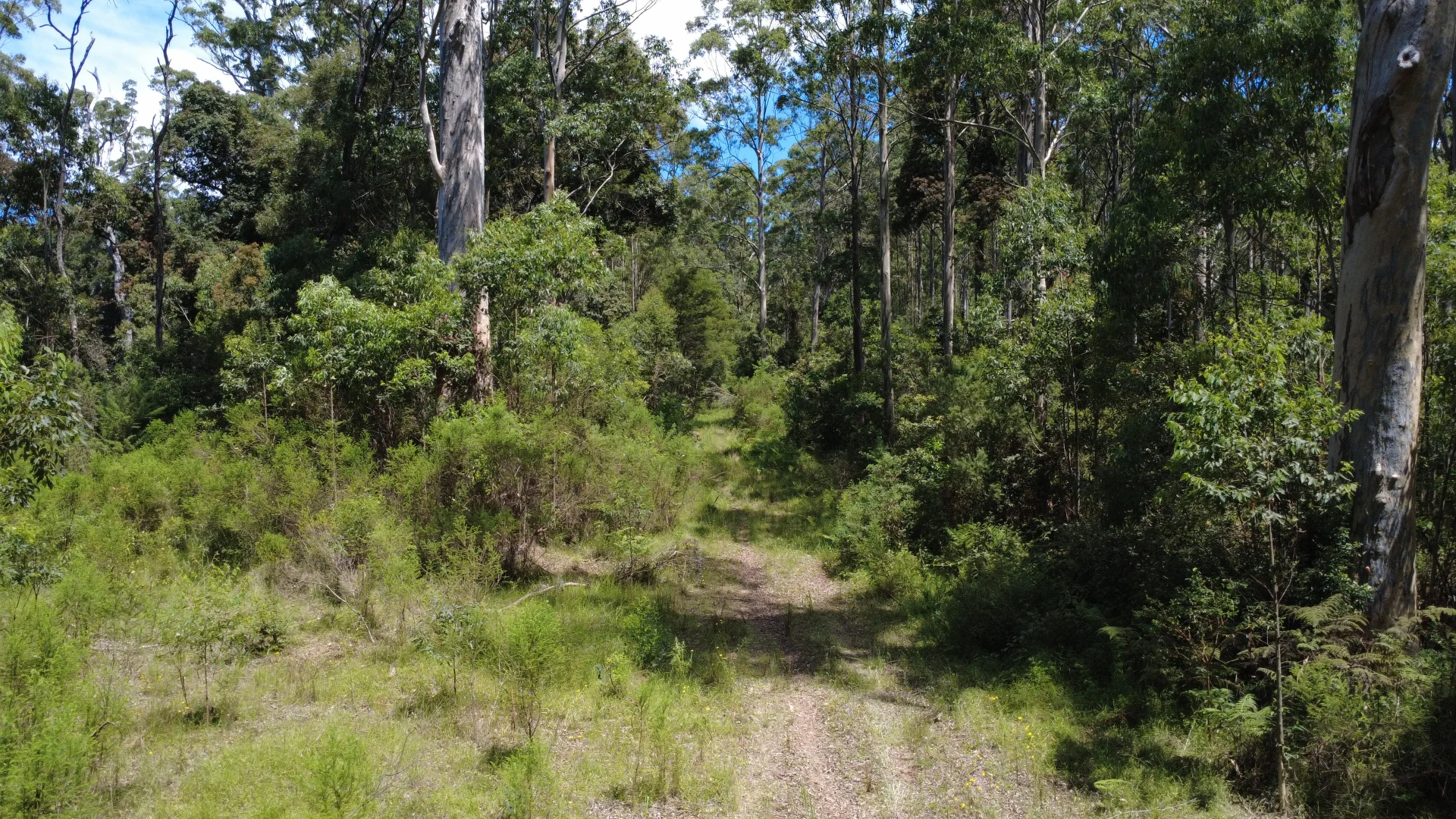 Additional image 3 of Baxters Ridge Road, Gloucester NSW 2422